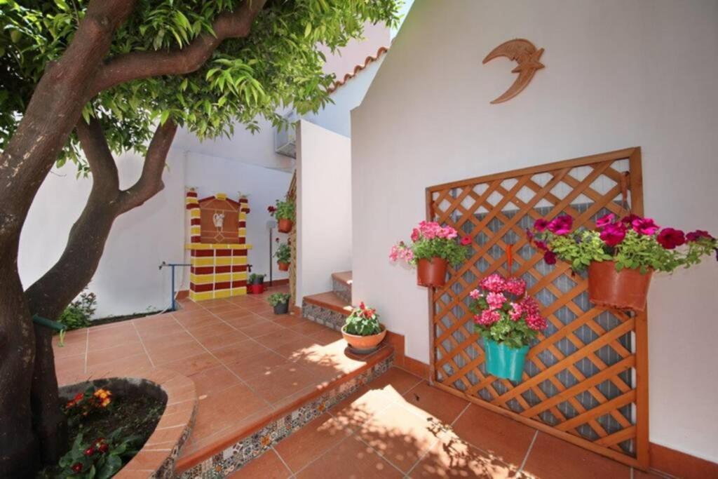 Philoxenia Guest House Скопелос Экстерьер фото